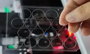 Laser Engraving Acrylic Plastic